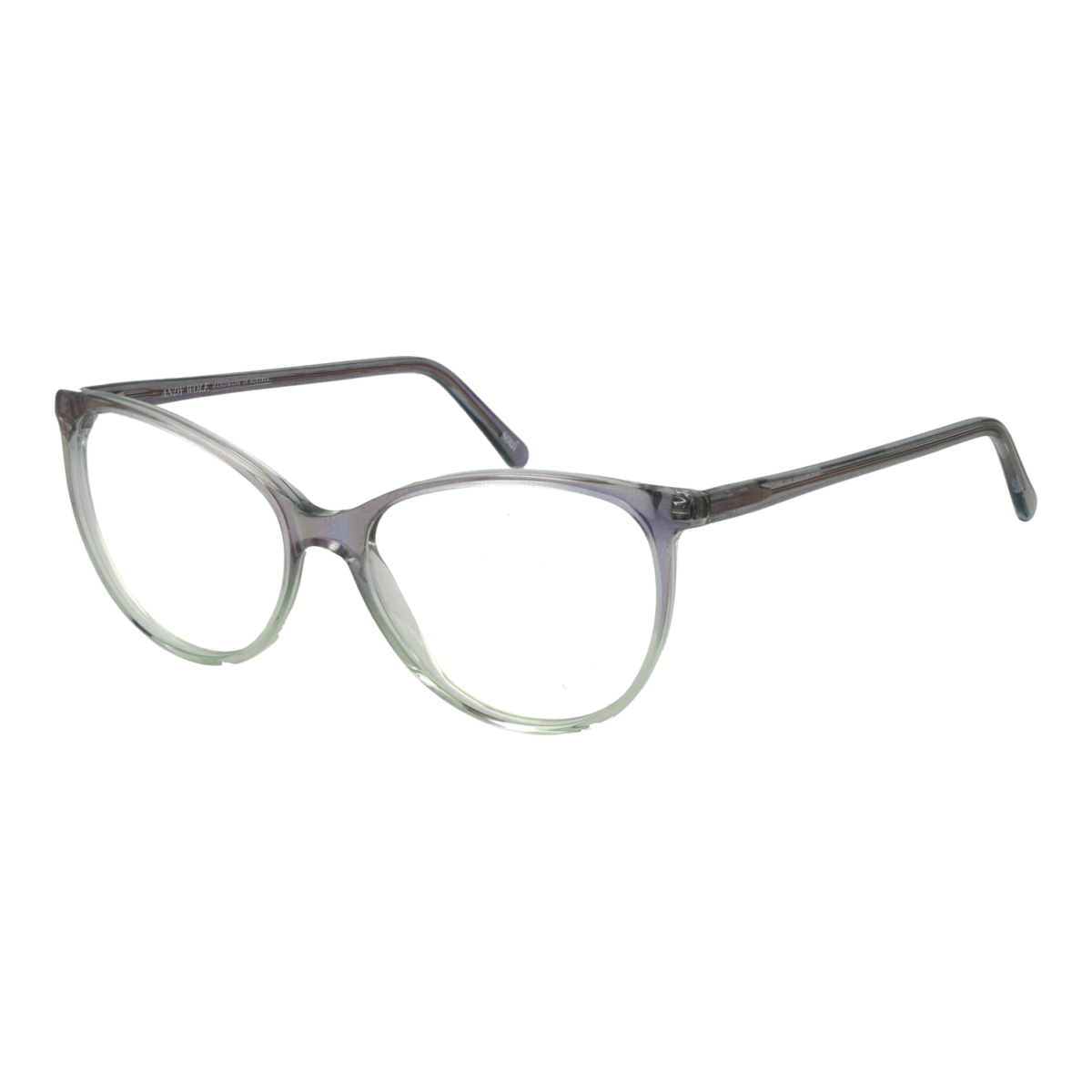 Andy Wolf Optical Frame 5076 D 55